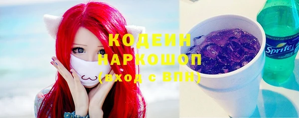 прущий лед Богданович