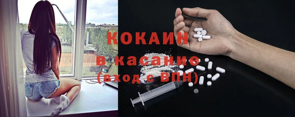 прущий лед Богданович