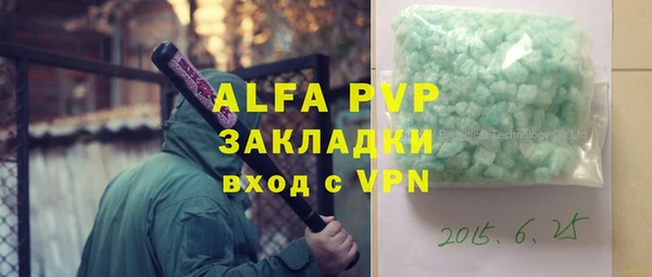 прущие грибы Богородицк