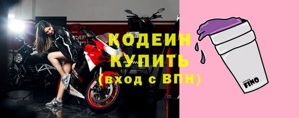 прущие грибы Богородицк
