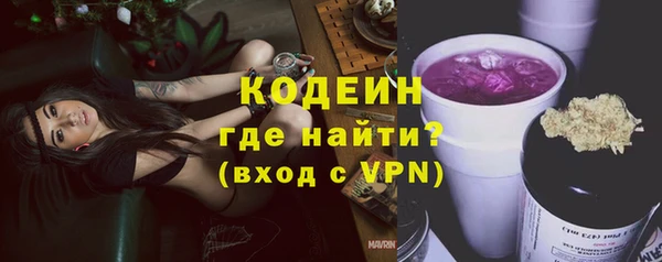 прущий лед Богданович