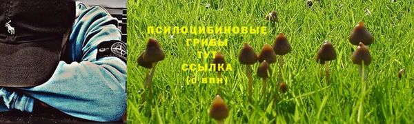 прущая мука Богородск