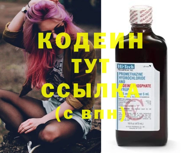 прущие грибы Богородицк
