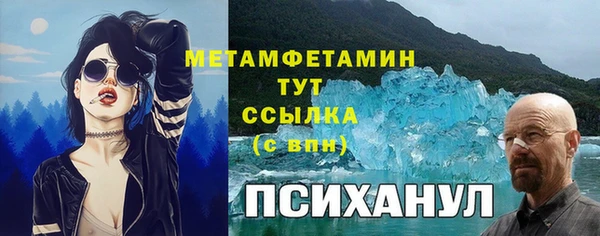 прущие грибы Богородицк