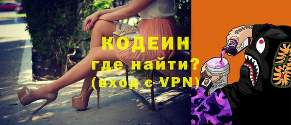 прущий лед Богданович