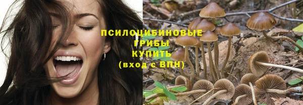 прущая мука Богородск